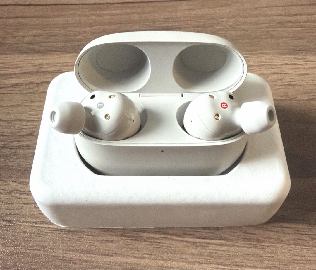 （SONY） WF-1000XM5