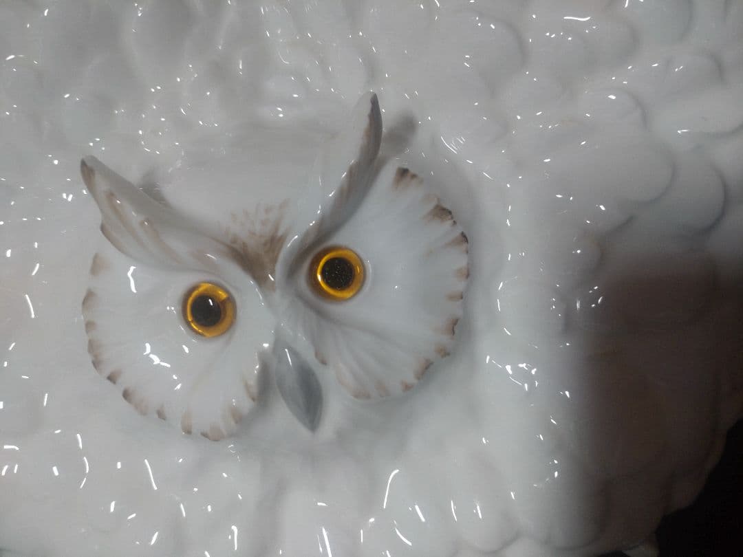 ノリタケ　フクロウ拡翼　陶額