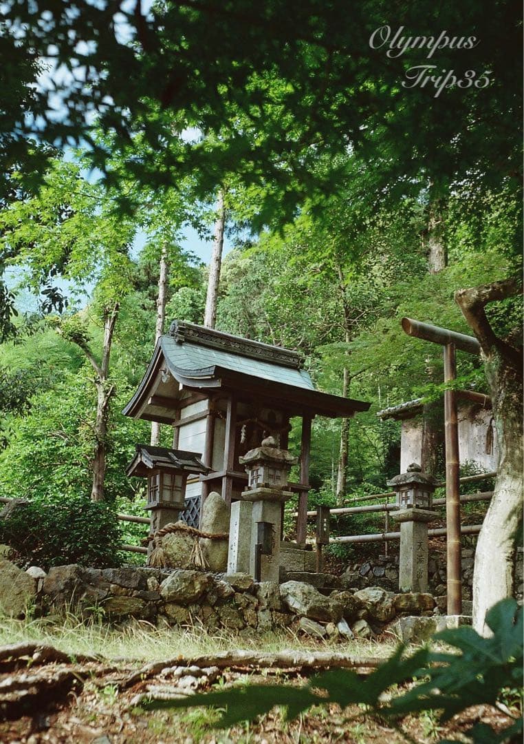 オリンパス trip35 ブラック★作例多数★完動品・美品・整備品