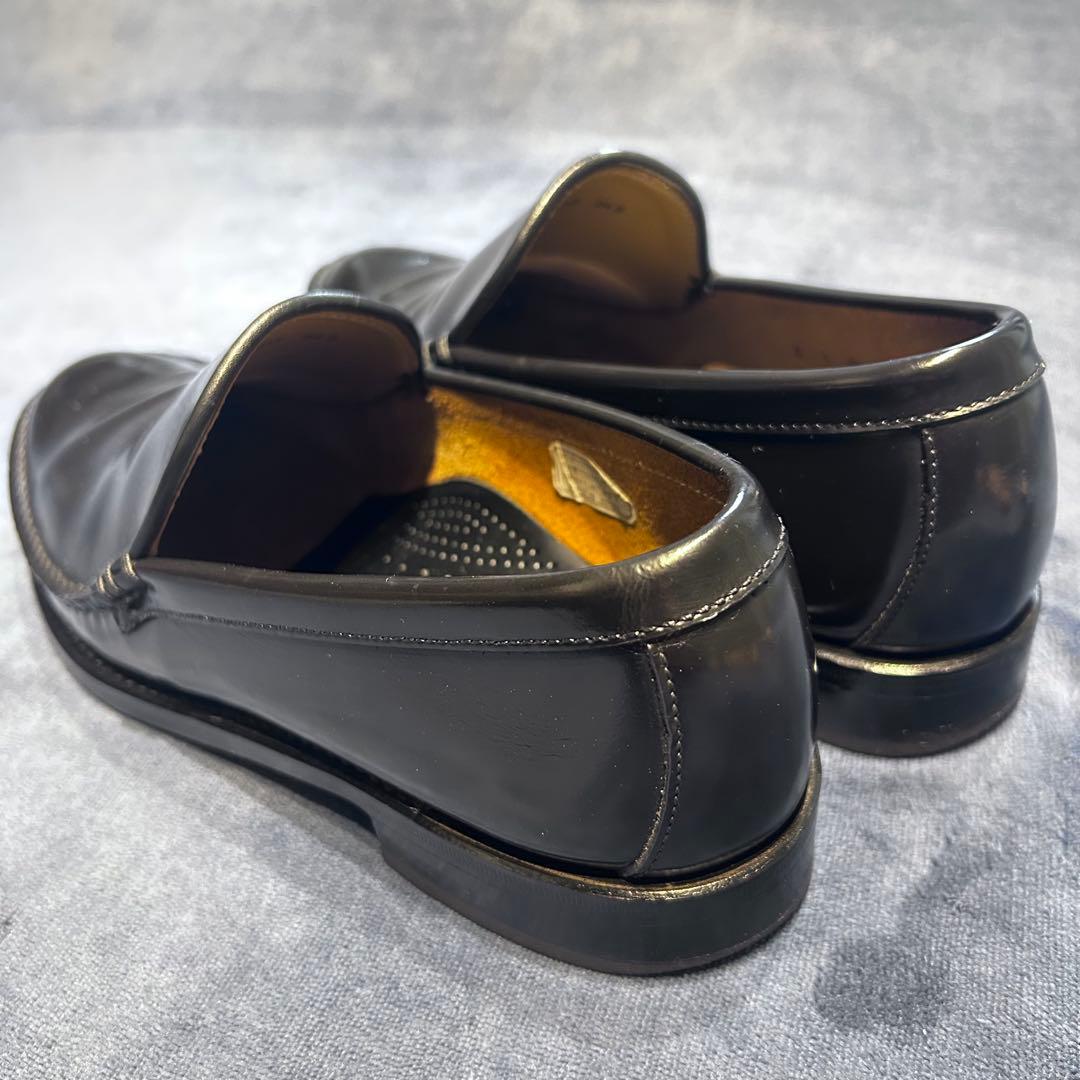 REGAL East Coast Collectionのコブラヴァンプ