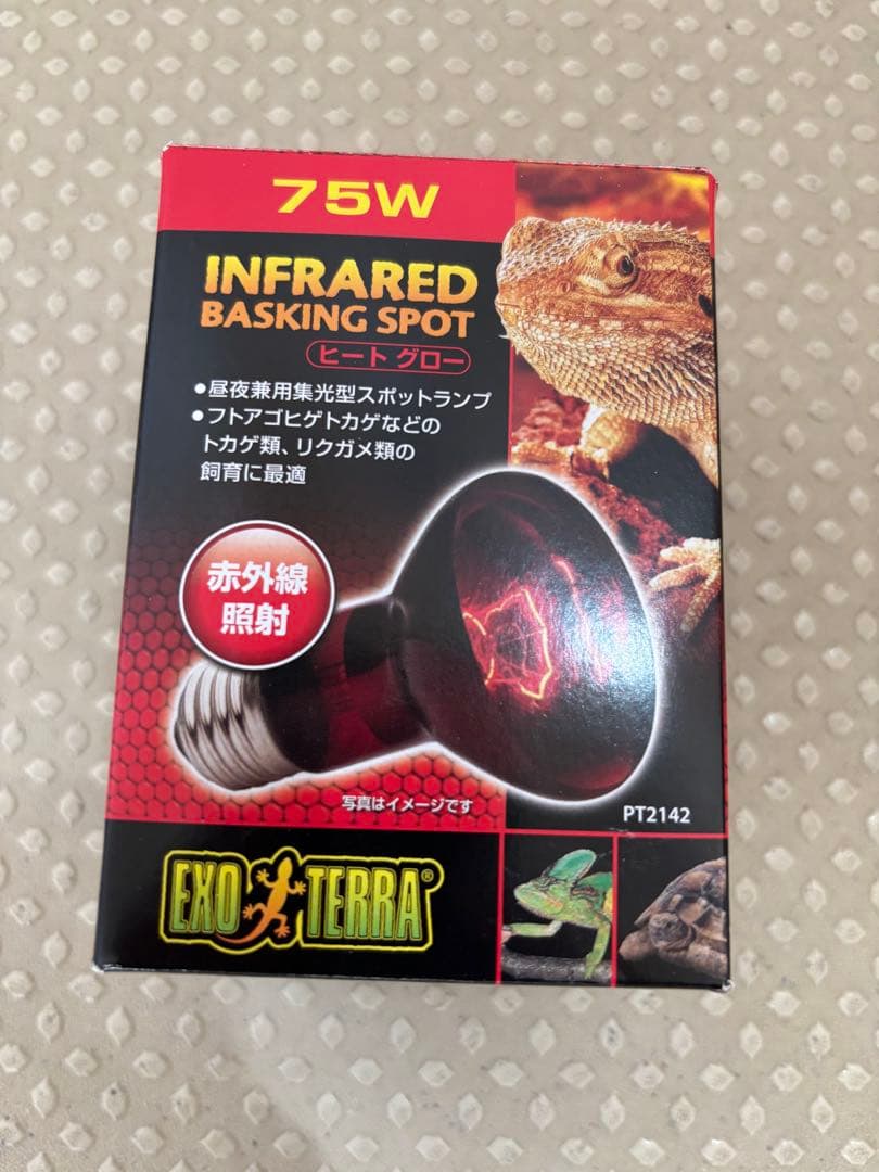 GEX EXOTERRA フトアゴヒゲトカゲ&リクガメ飼育キット送料込