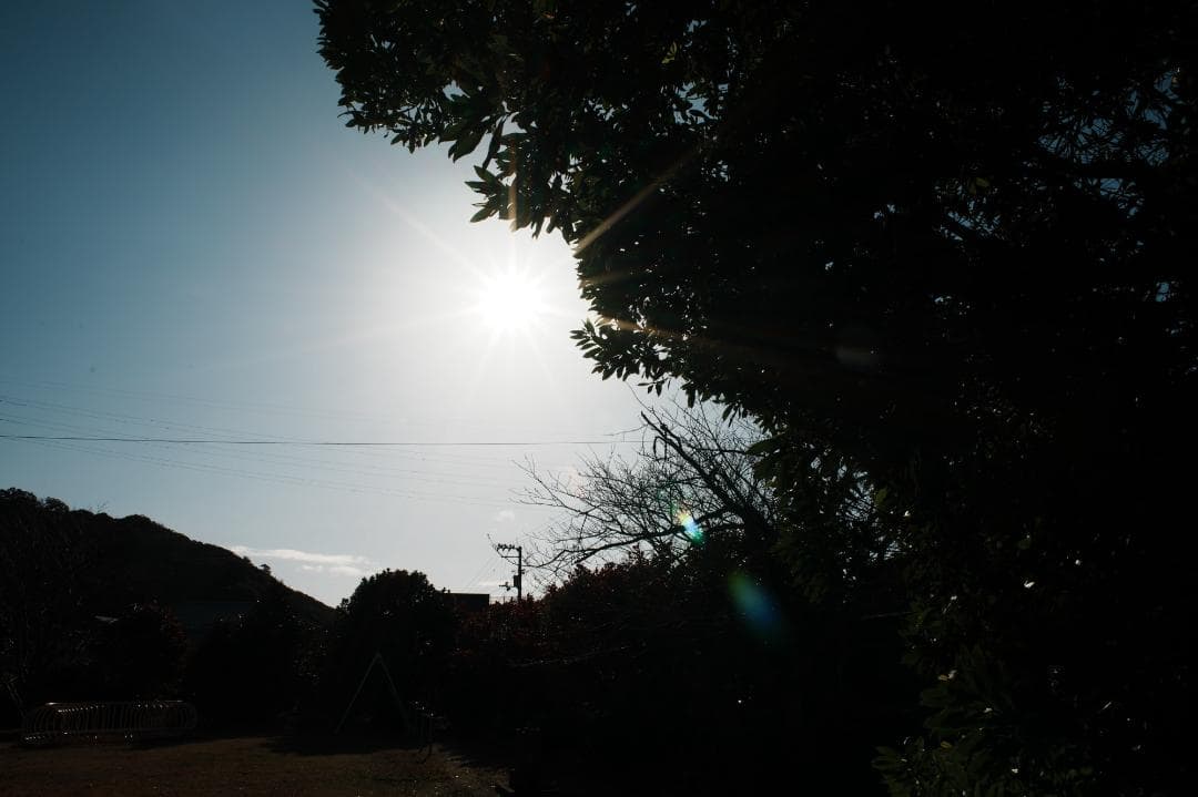 【寄れる大口径】Nikon Ai-s Nikkor 28mm F2 919