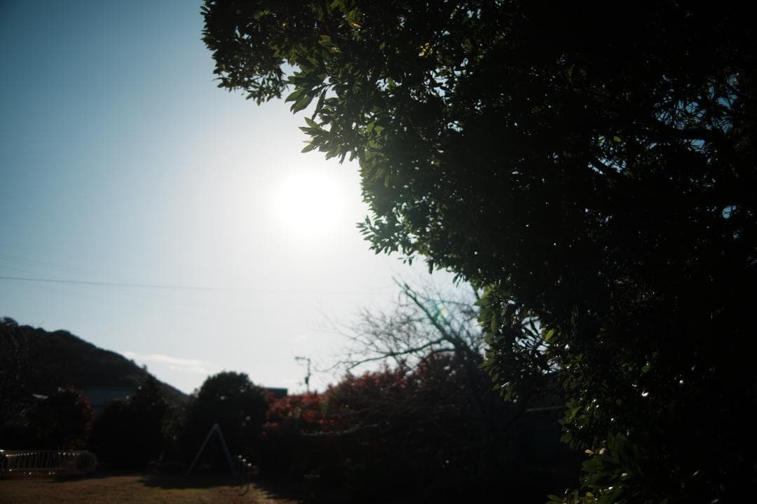 【寄れる大口径】Nikon Ai-s Nikkor 28mm F2 919