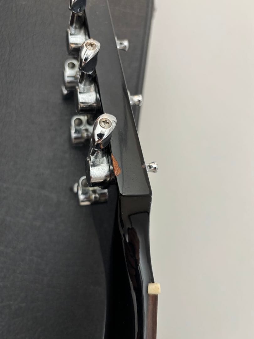 タカミネ　エレアコ　PT106