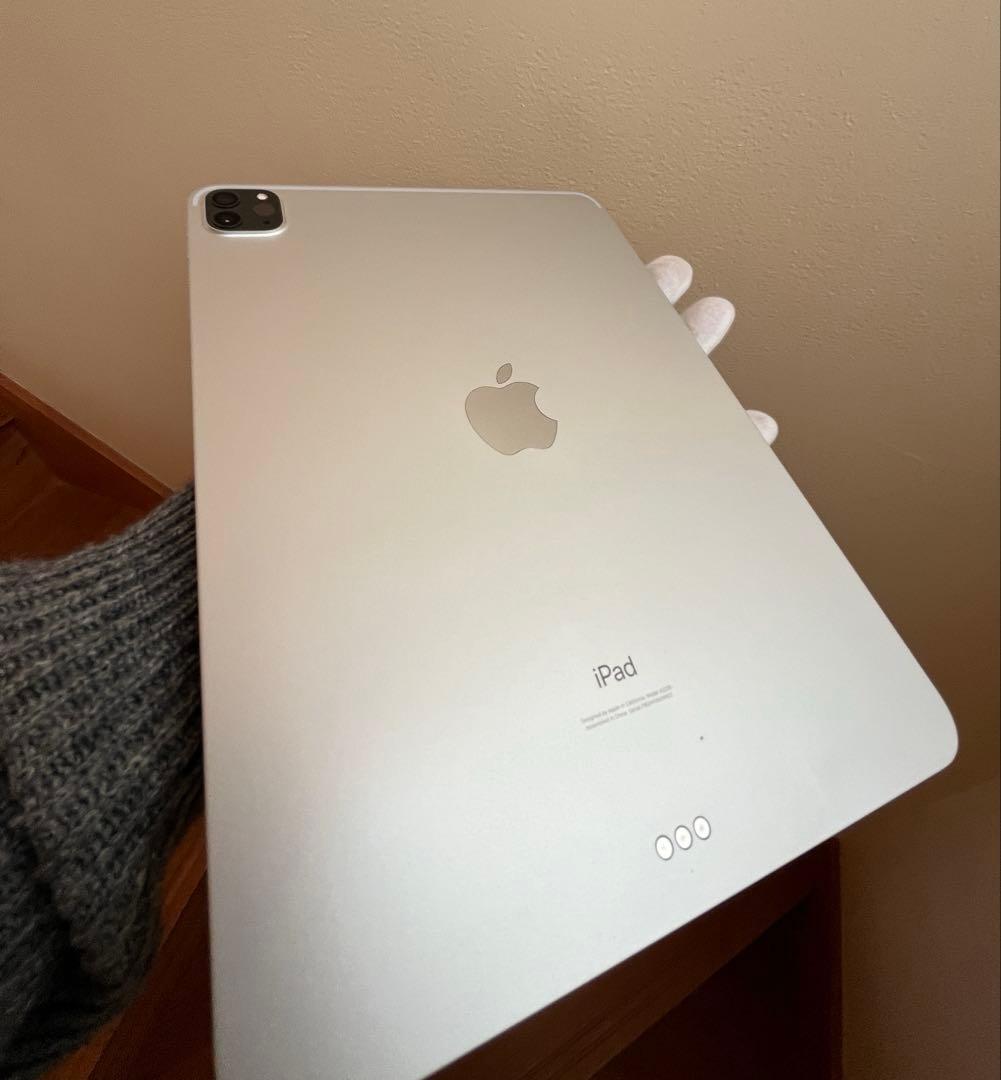 iPadPro 11インチ 256GB WiFiモデル　第2世代