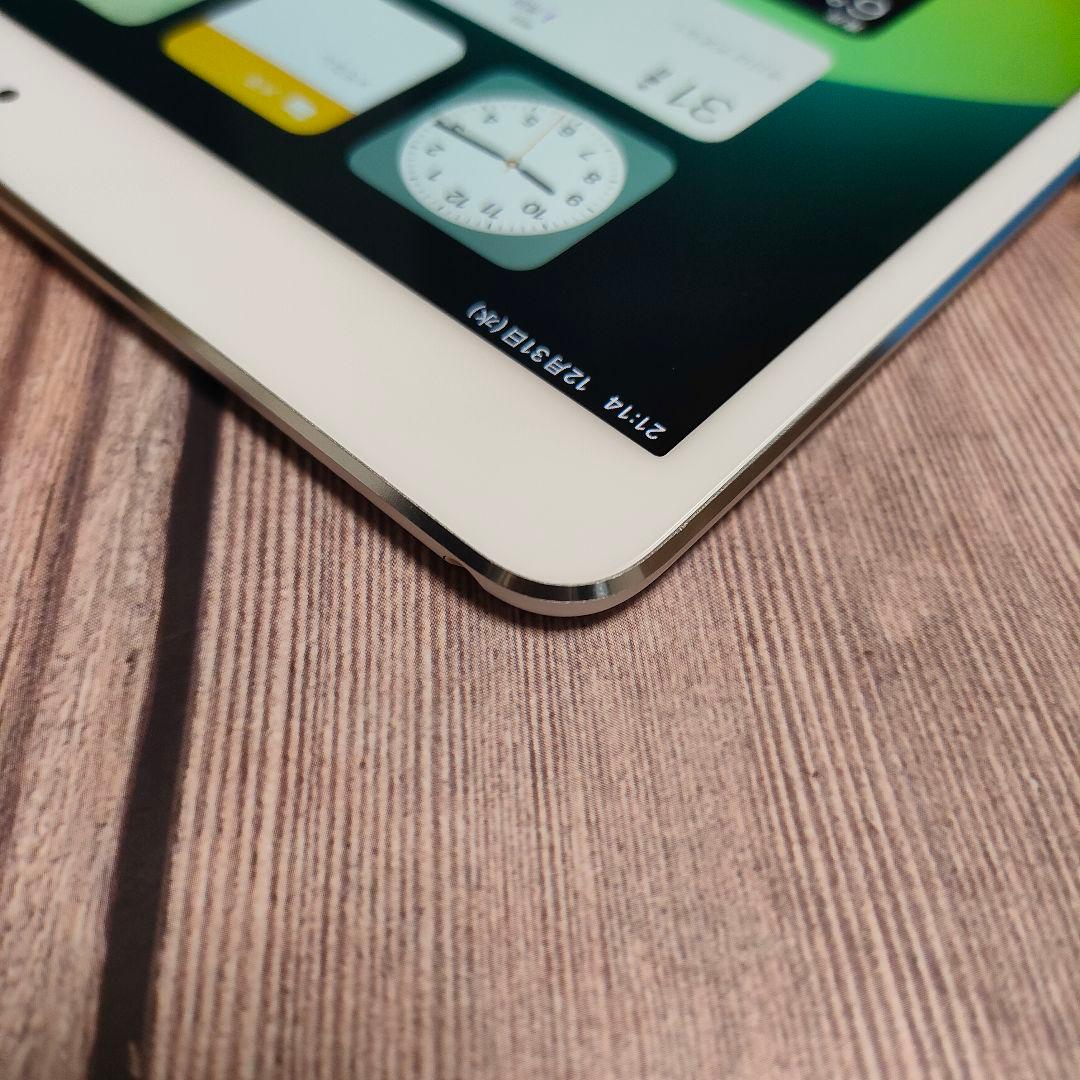 iPad Pro 10.5インチ 256GB シルバー 美品