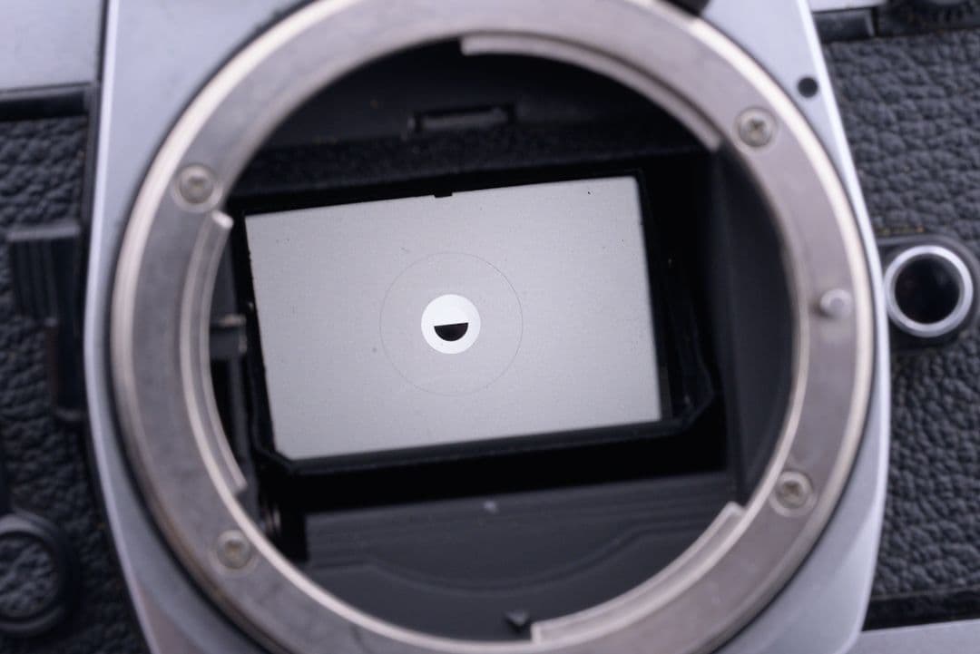 Nikon New FM2 シルバー