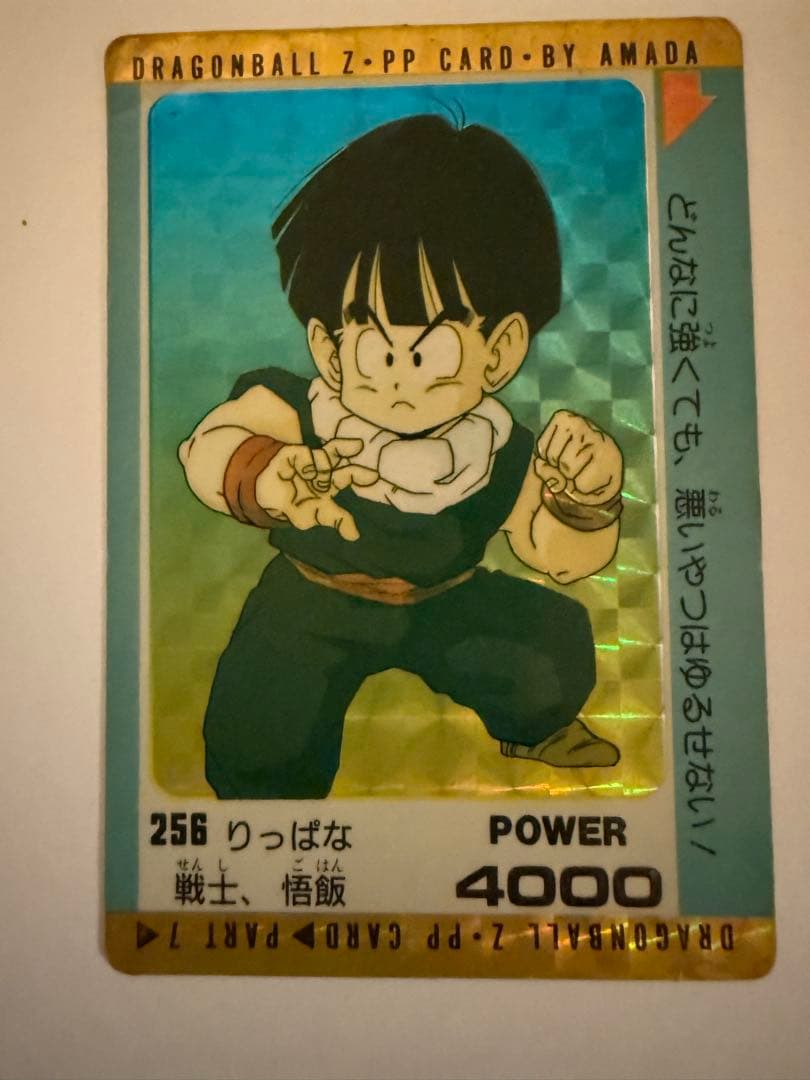 【希少】ドラゴンボールZ PPカード アマダ キラカード カードダス 14枚