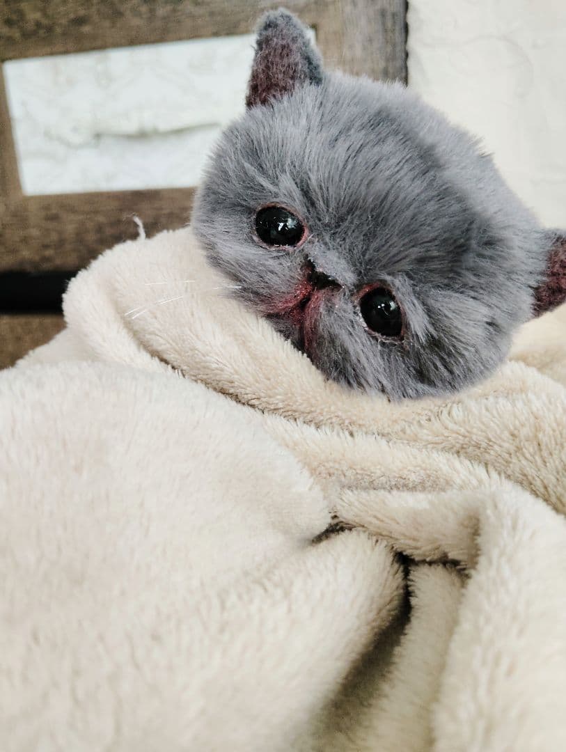 もち様オーダー❤子猫の黒豆ちゃん♡アートドール♡ぬいぐるみ♡