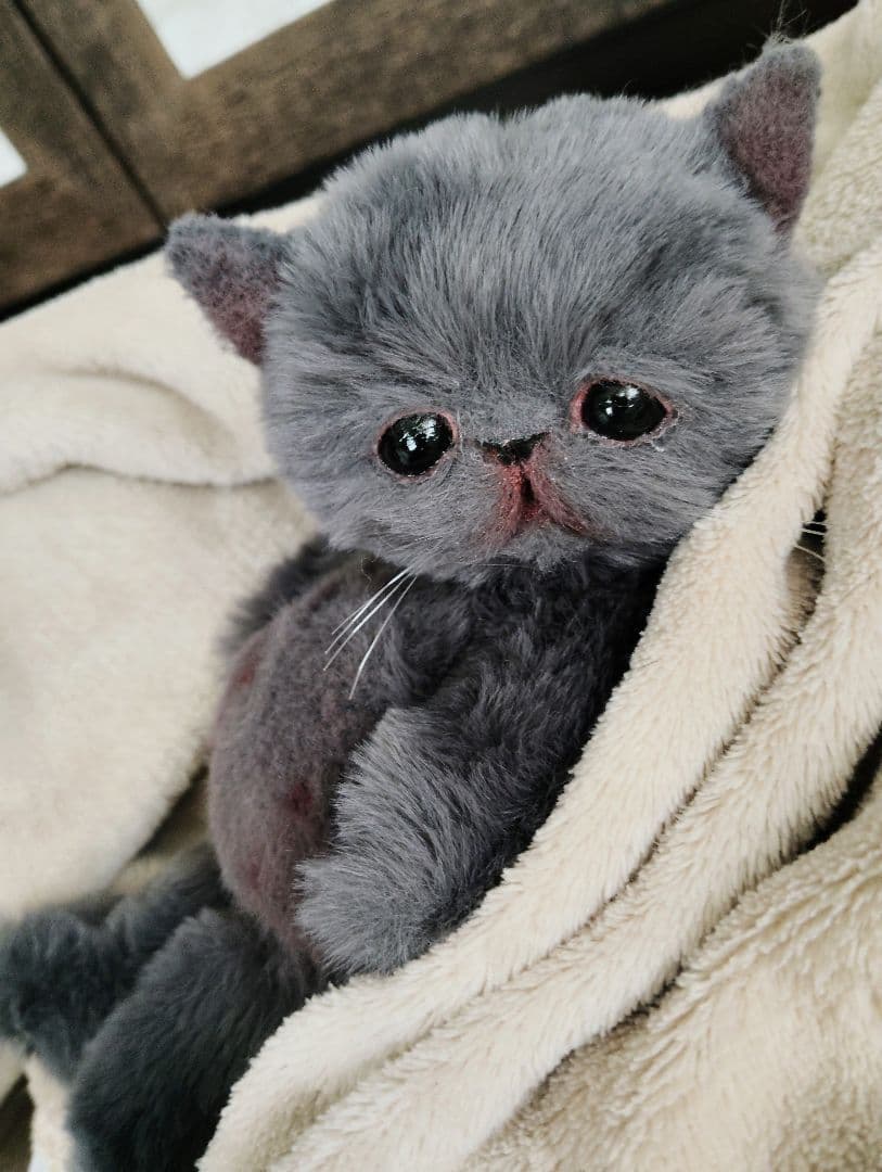 もち様オーダー❤子猫の黒豆ちゃん♡アートドール♡ぬいぐるみ♡