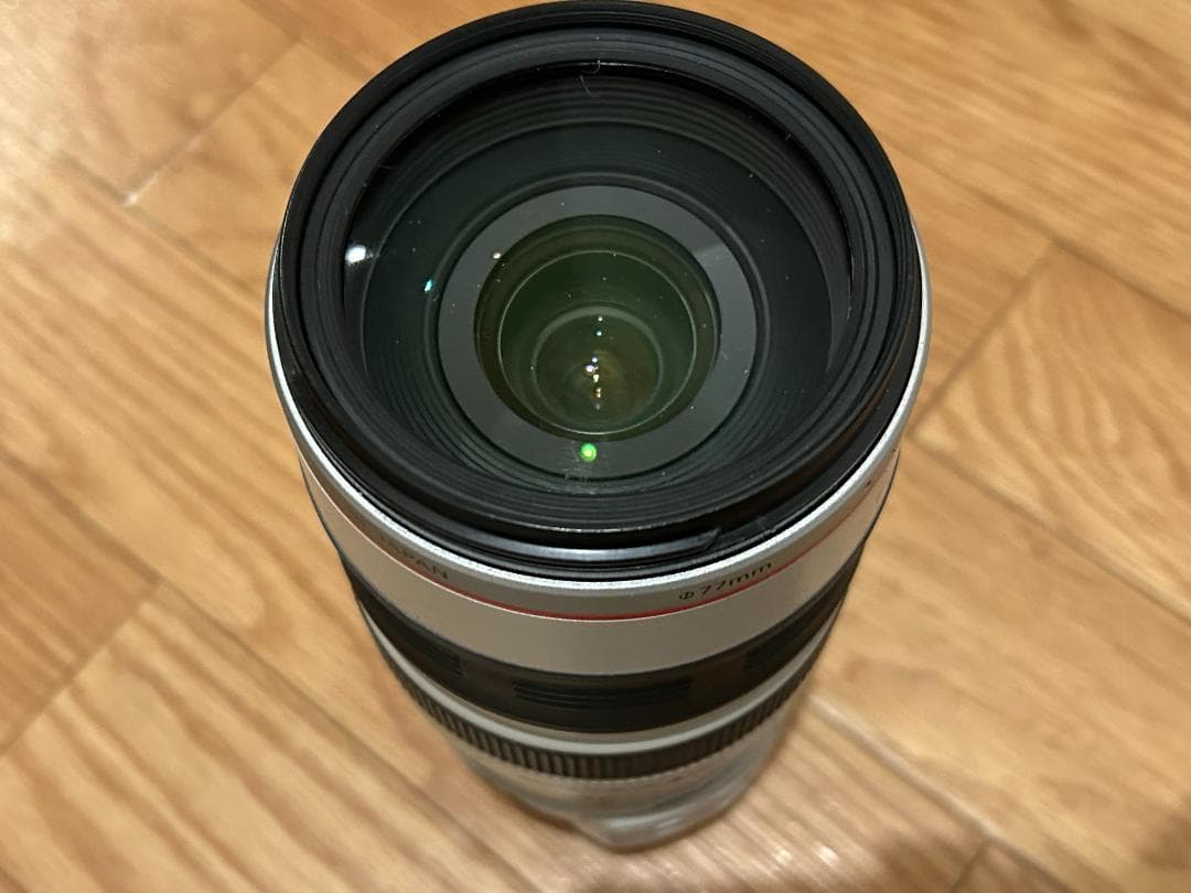 ジャンク館】キャノン EF 28-300mm F3.5-5.6 L IS USM