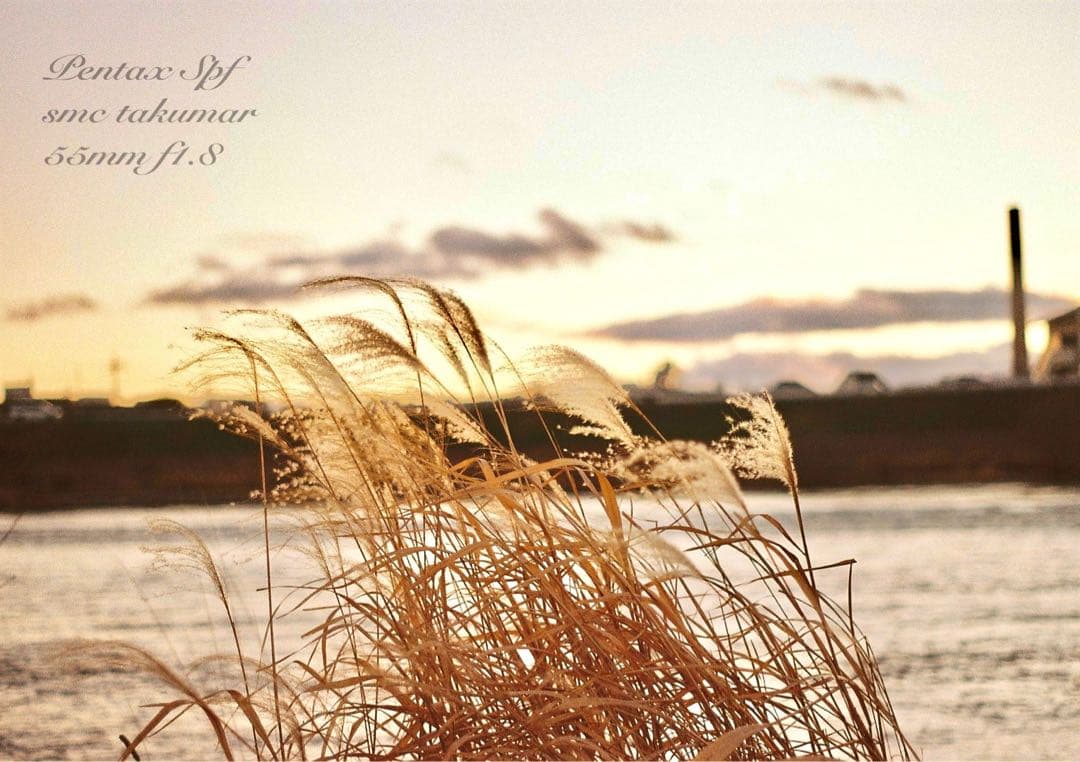 pentax spf フルセット★完動品＊美品＊初期保証付！★作例多数