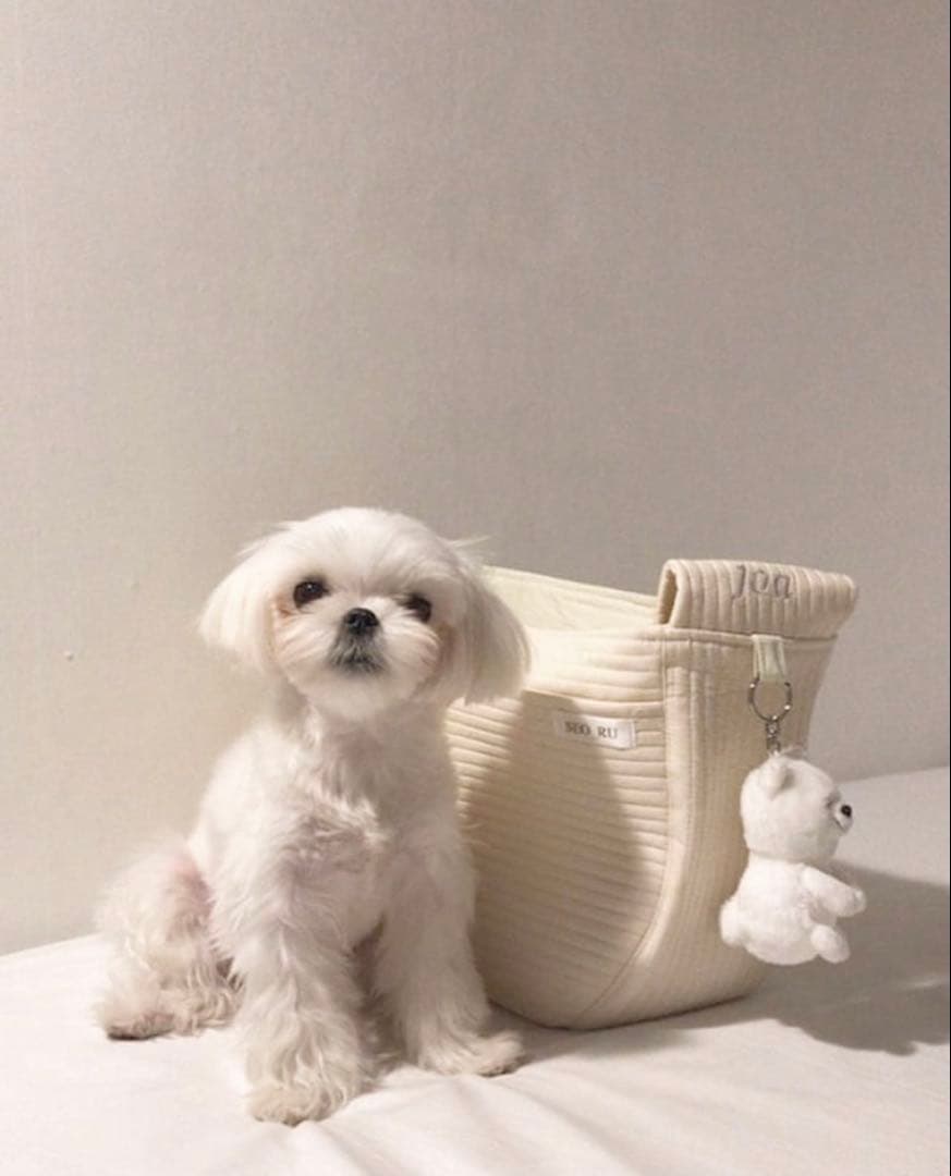 【美品】hubsch グルムスリングバッグ 韓国 キャリーバッグ　ペット　犬 猫