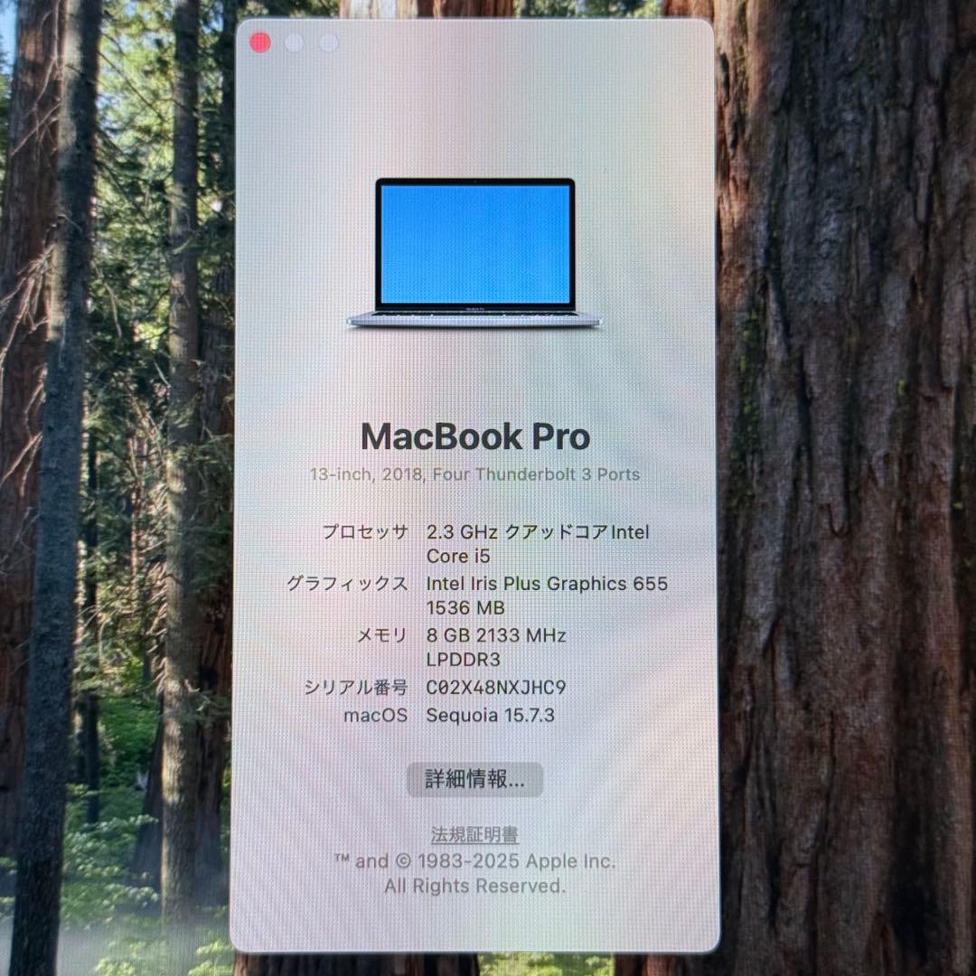 MacBook Pro 2018 13インチ 512GB 箱付