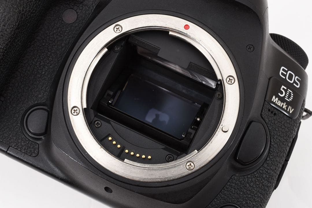 保証/動画/Canon EOS 5D Mark IV標準&望遠ダブルレンズセット