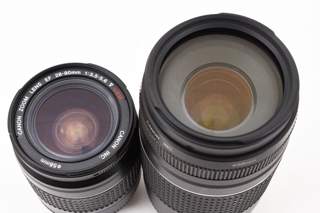 保証/動画/Canon EOS 5D Mark IV標準&望遠ダブルレンズセット