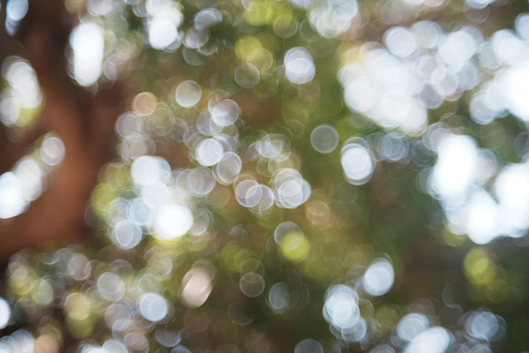 【バブルボケ】動作◎ FUJINON 55mm F2.2 後期 M42 739