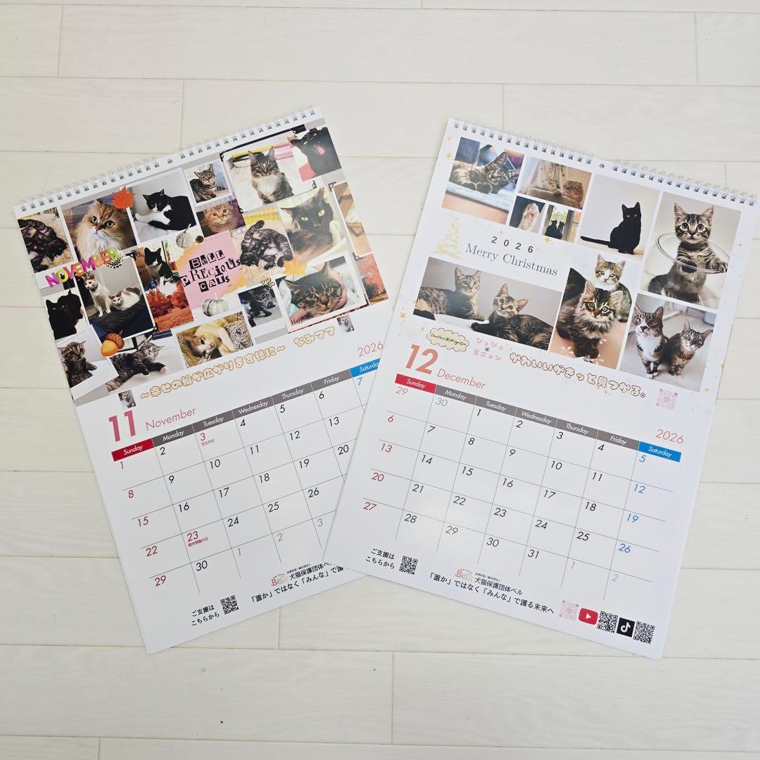 ①《猫》壁掛けチャリティーカレンダー5枚セット