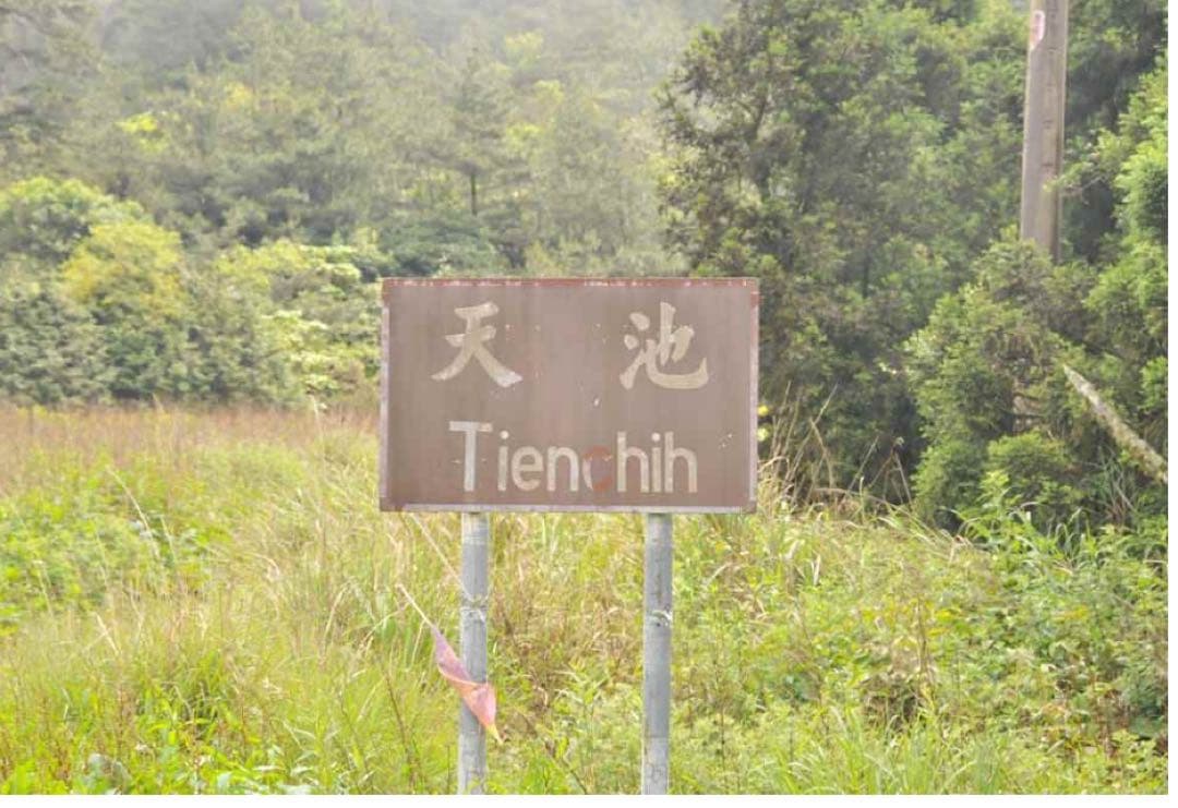 【台湾好茶】梨山 「天池」高冷茶 冬茶 75g