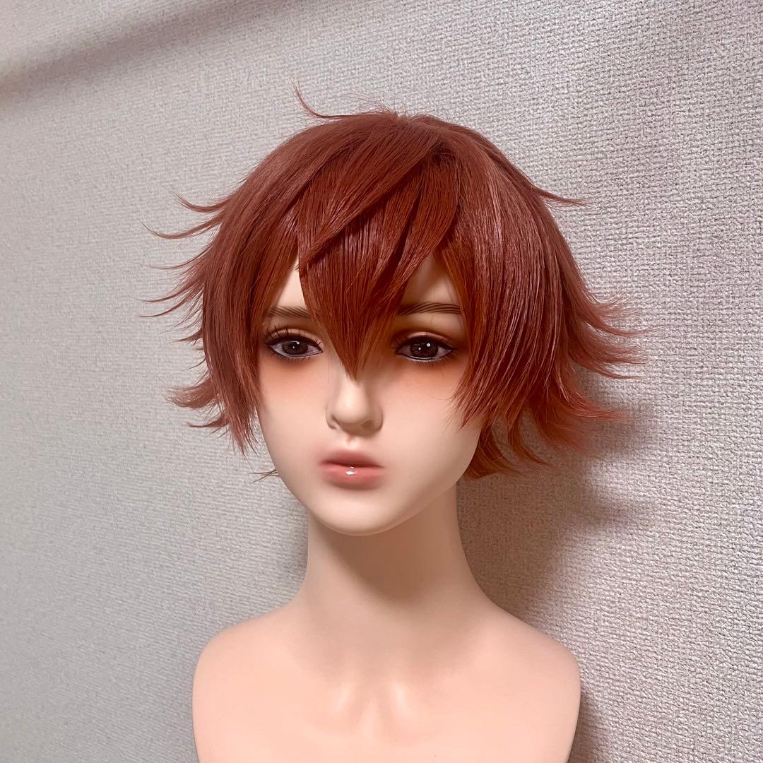 【即納】ツイステ エース・トラッポラ ウィッグ