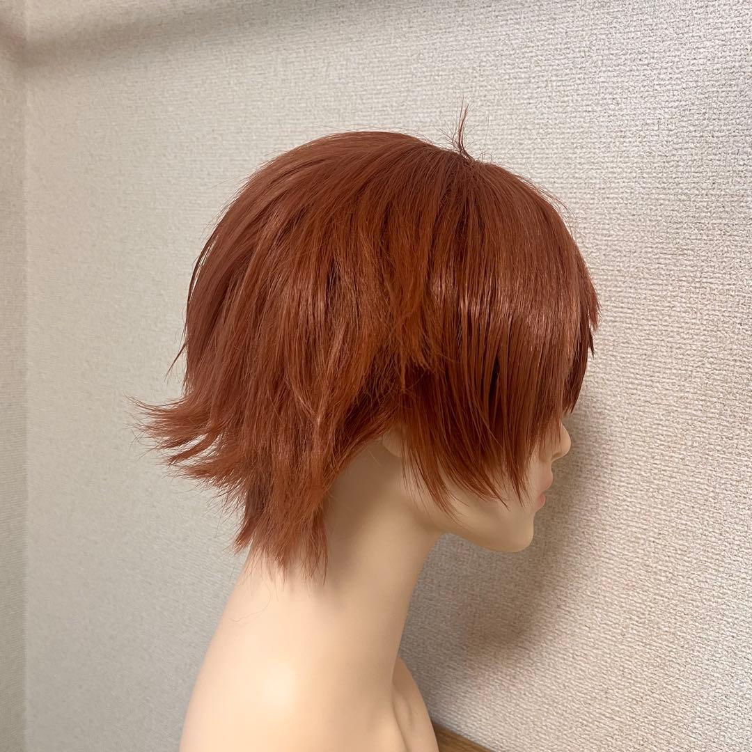 【即納】ツイステ エース・トラッポラ ウィッグ