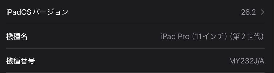 れいと Apple iPad Pro 11インチ 第2世代 128GB