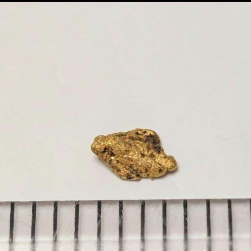 ①国産 砂金 自然金 天然砂金 栃木県産