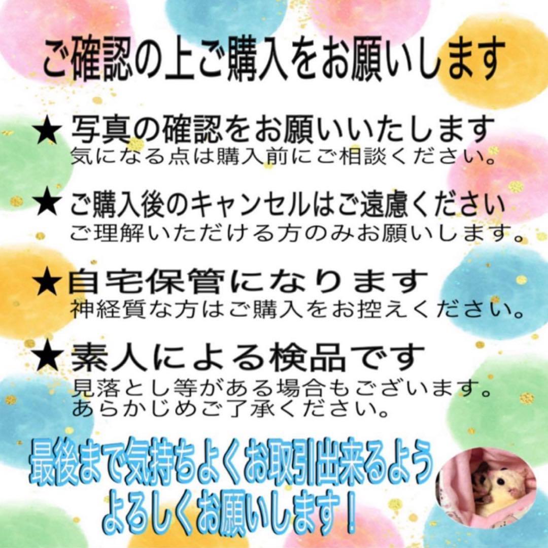 ジャンボ尾崎　Js ゴルフポロシャツ ヴィンテージ マルチカラー 総柄L