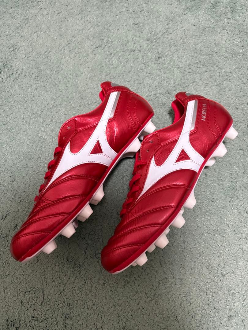 モレリア2(MORELIA Ⅱ JAPAN)