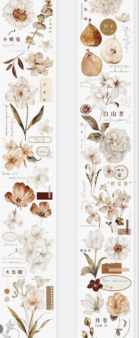 《最終値下げ》海外 マスキングテープ　雀斑茶 6点⚠️pet（33.324