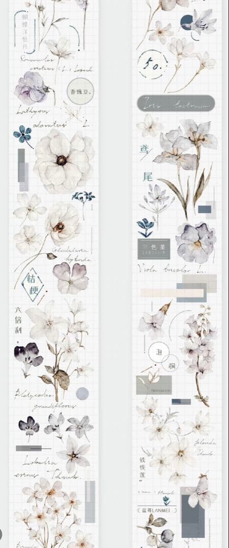 《最終値下げ》海外 マスキングテープ　雀斑茶 6点⚠️pet（33.324