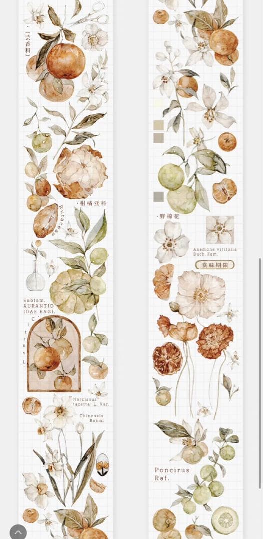 《最終値下げ》海外 マスキングテープ　雀斑茶 6点⚠️pet（33.324