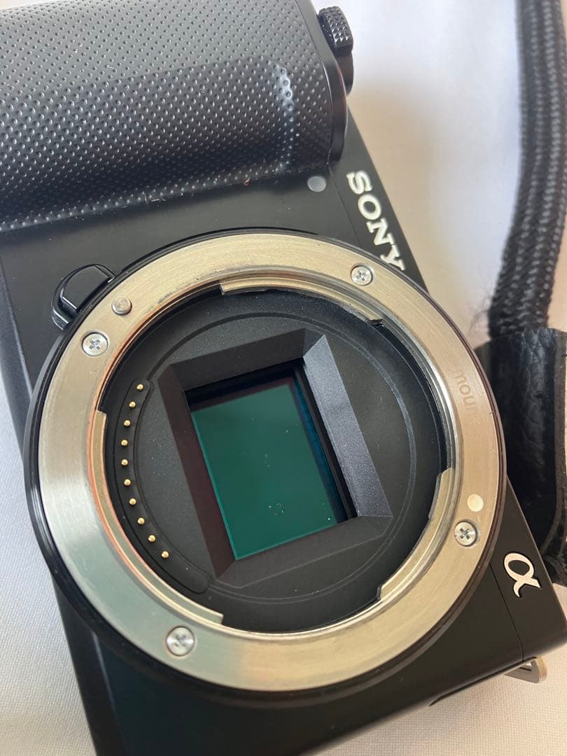 Sony ZV-E10 バッテリー×4個 マイク、充電器、ストラップ付き