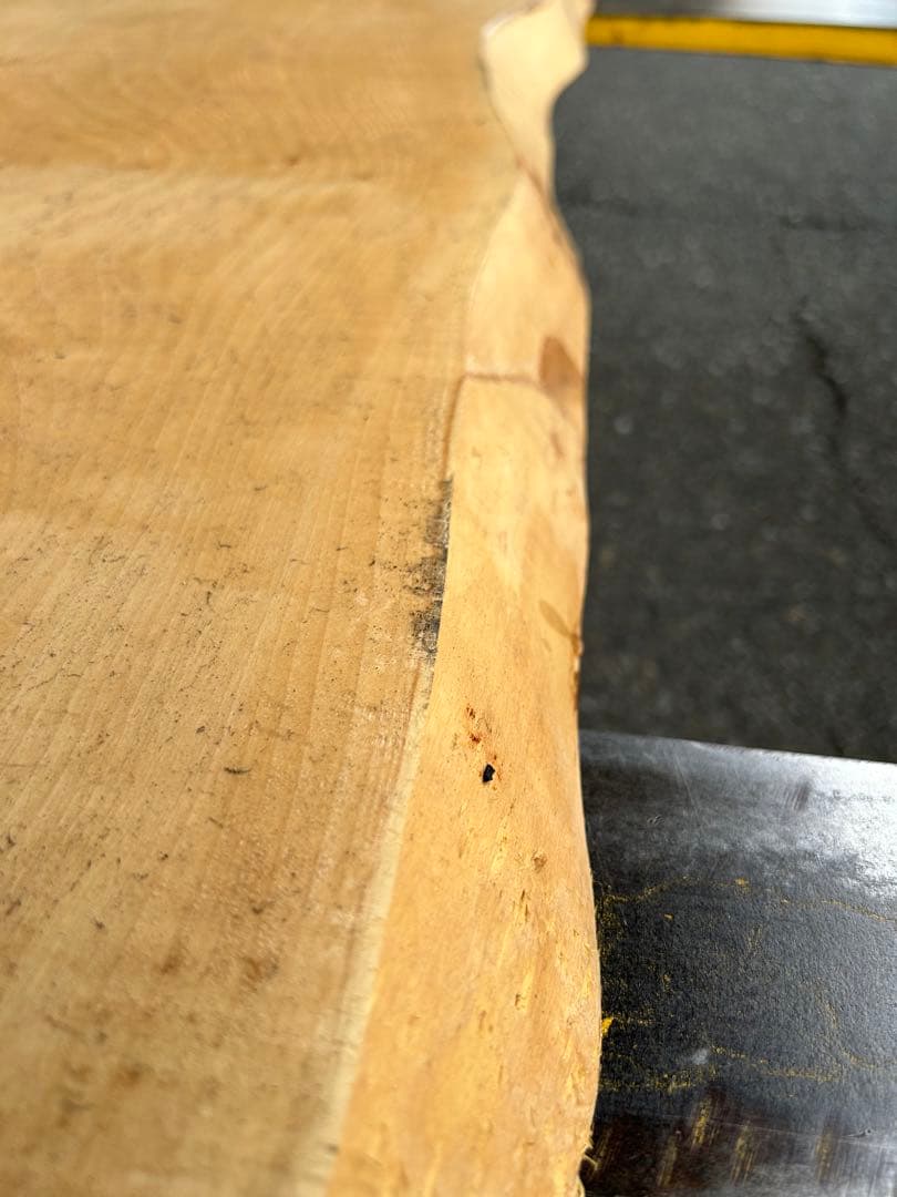 [即購入OK] 爆安出品！　栃(とち)耳付き一枚板　総無垢材極上杢　新品未使用