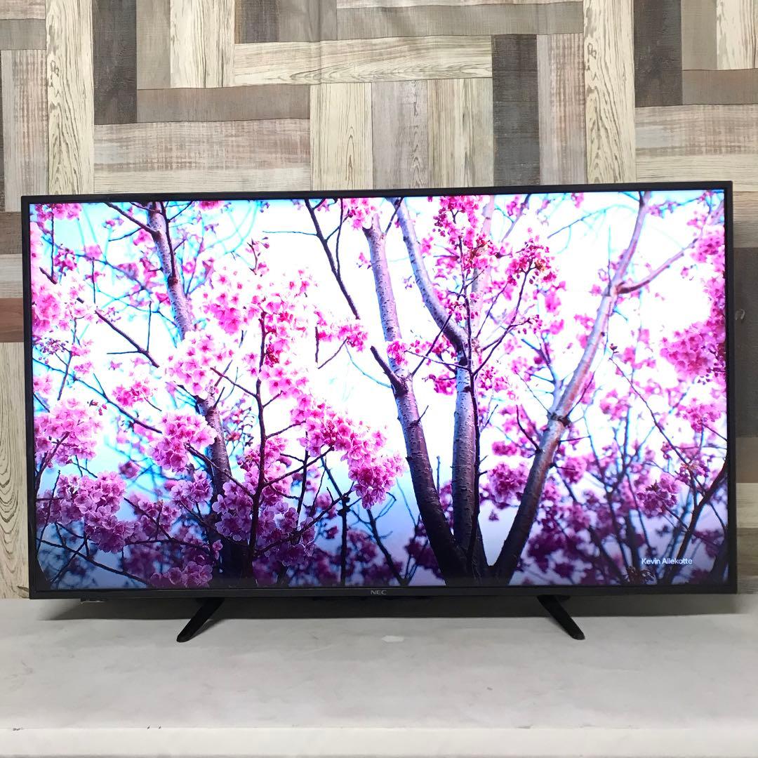 即日受渡❣️全国送料込スリムデザインNEC4K液晶HDR50インチモニター