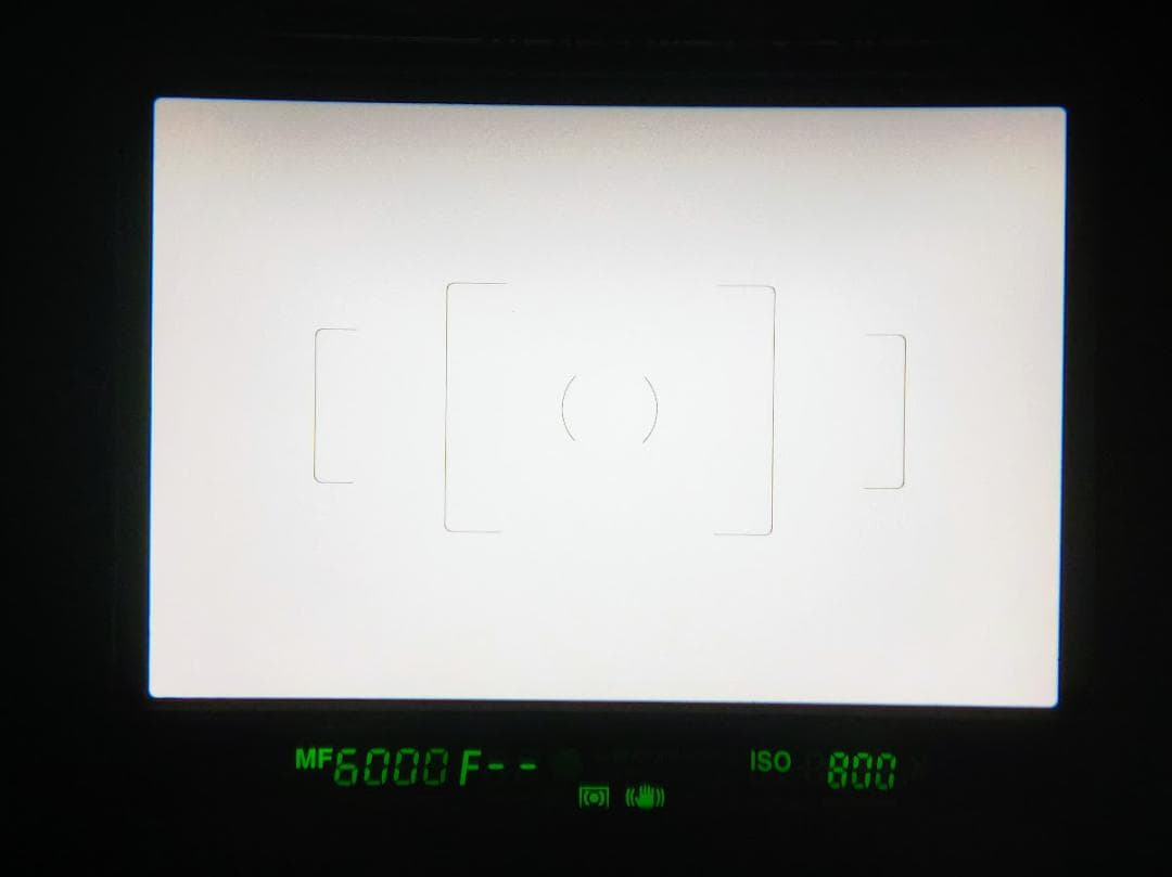 【黒死病対策】【内臓電池交換】PENTAX K-50　カメラらしいブラック