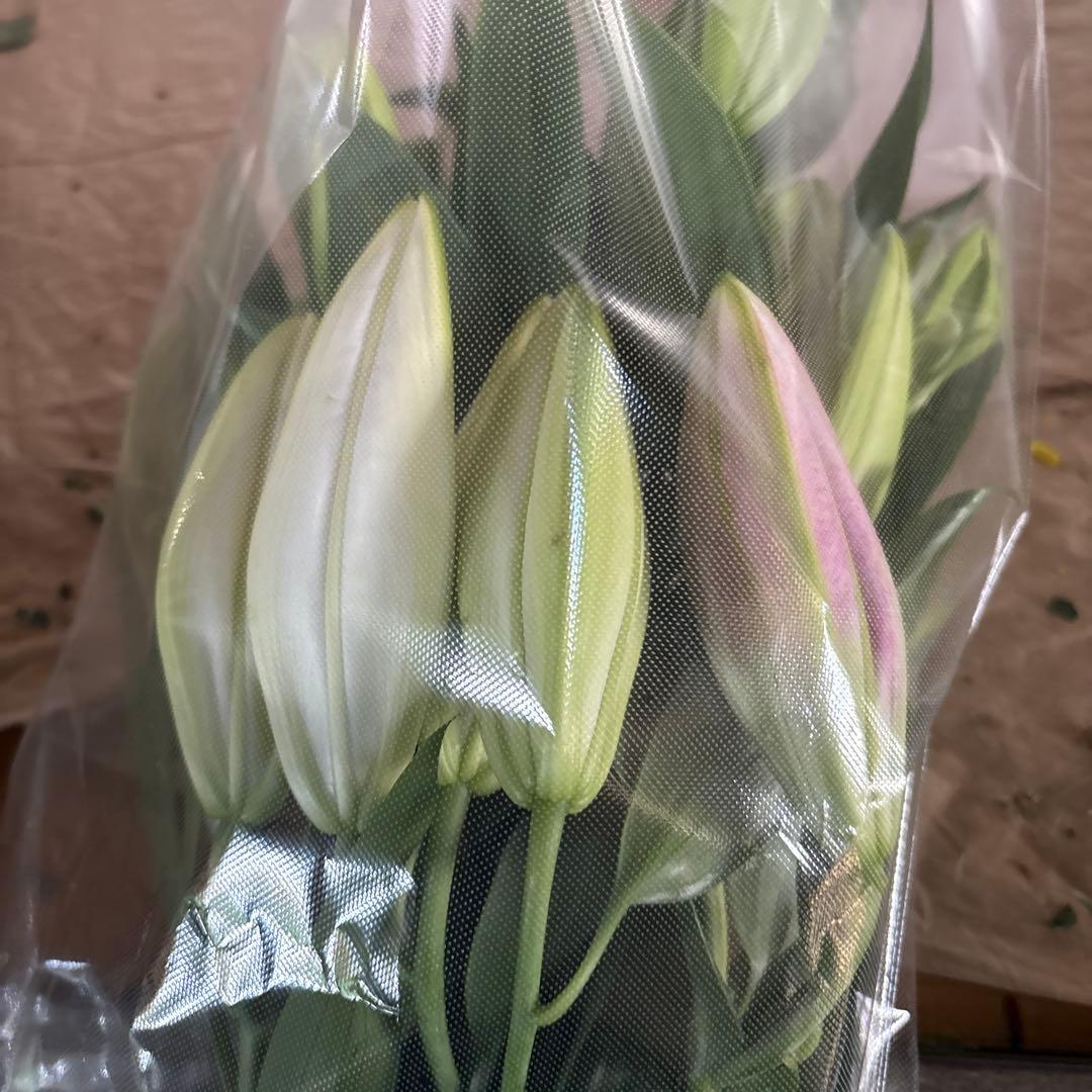 ミニーマウス5 同梱ピンク色百合10本 白百合3〜5輪咲き10本プレミアム