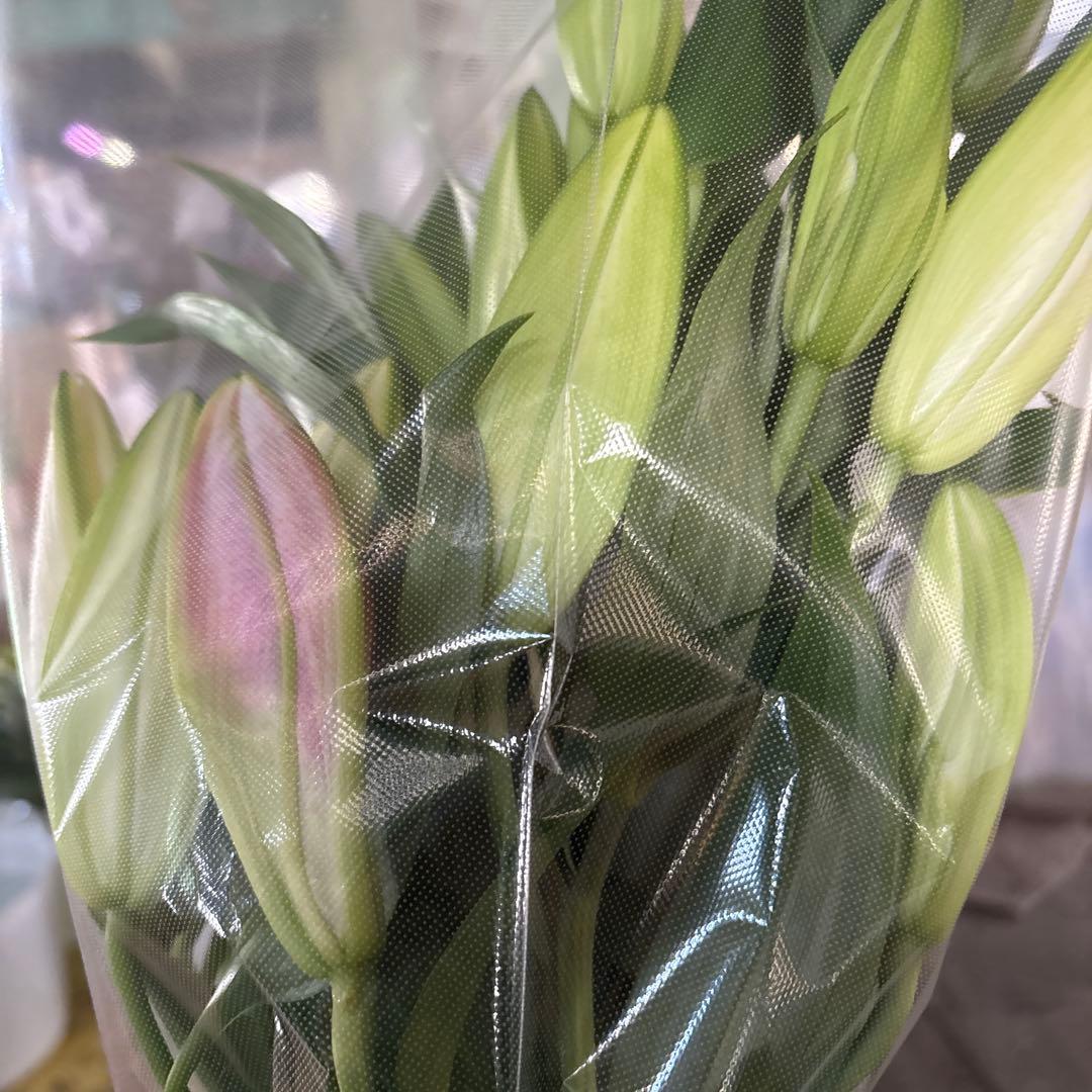 ミニーマウス5 同梱ピンク色百合10本 白百合3〜5輪咲き10本プレミアム