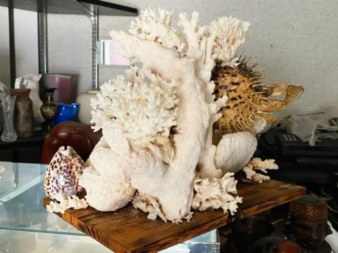 珊瑚　縁起物　昭和時代物　宝箱付き　アンティーク