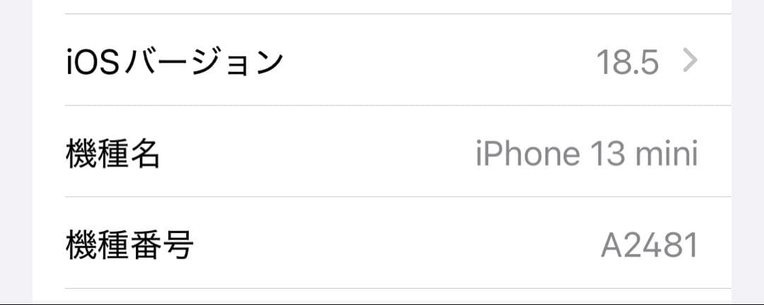 Apple iPhone13mini ピンク 本体 【アメリカ版】