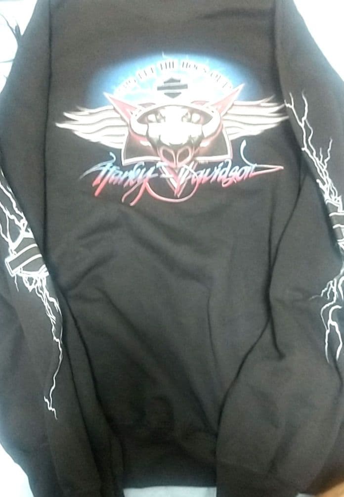 00s HARLEY DAVIDSON サンダー ライトニング　ユーロ古着