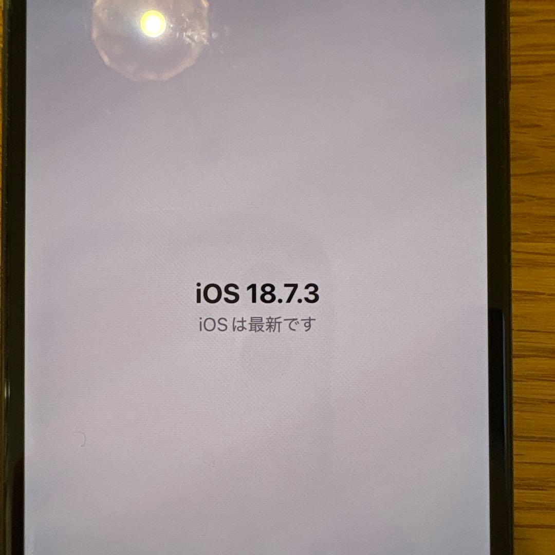 iPhone Xs256GB スペースグレイ SIMフリー付属品なし