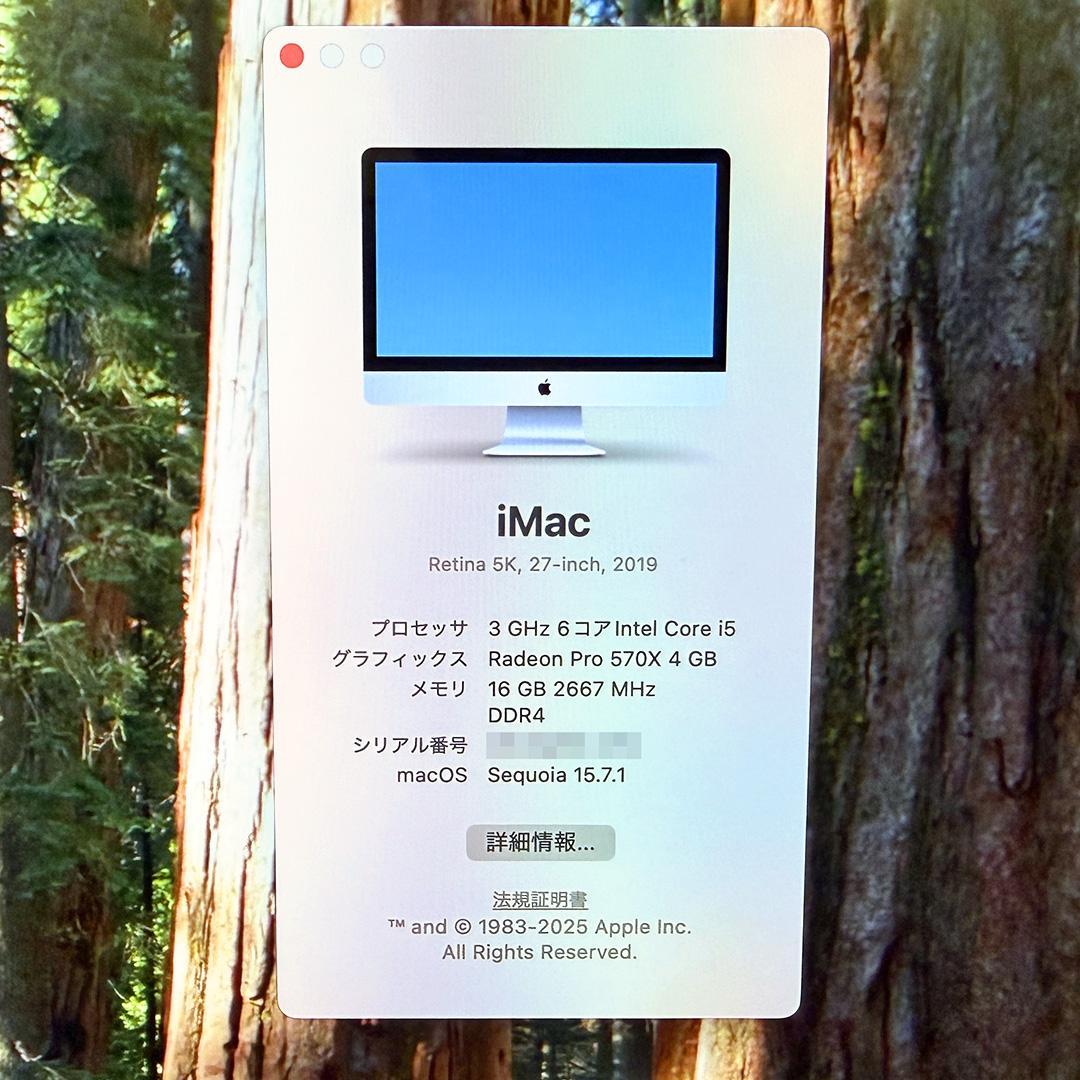 【美品】Apple iMac 27インチ 5K 2019 テンキー付