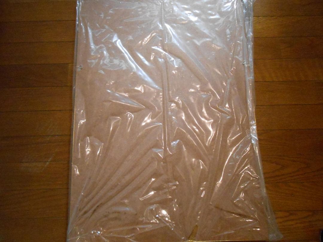 フジカラー写真額「ユルブリンナーさんパネル」＆岡田奈々さんポスター他　昭和