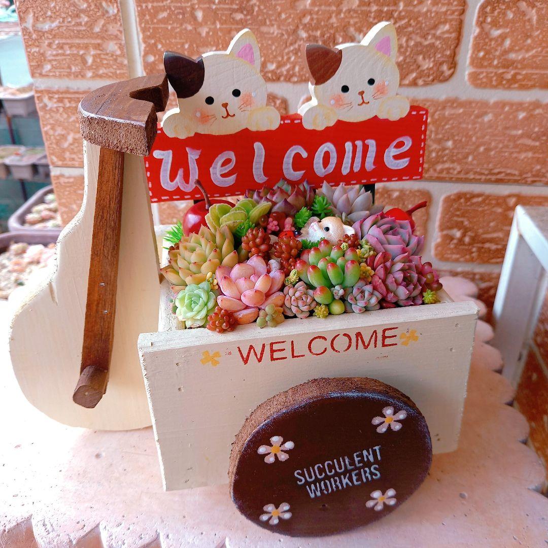 ❤️専用❤️多肉植物❤️そのまま飾れる寄せ植え❤️
