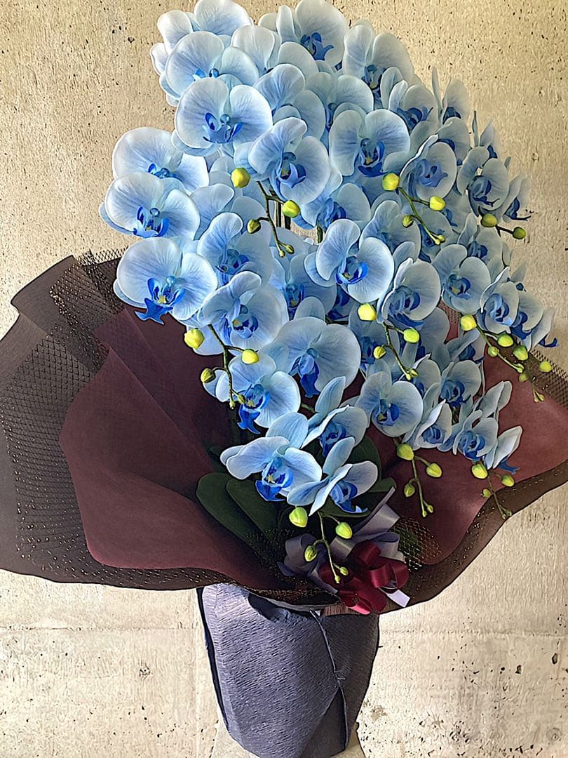 光触媒　人工観葉植物　ウォールグリーン　フェイクグリーン　リアル胡蝶蘭10本bl