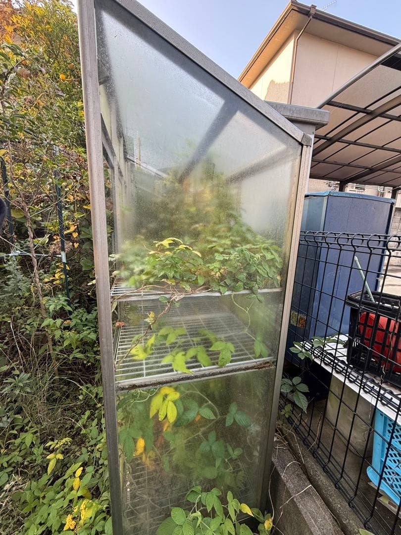 中型ガラス温室(3点セット)