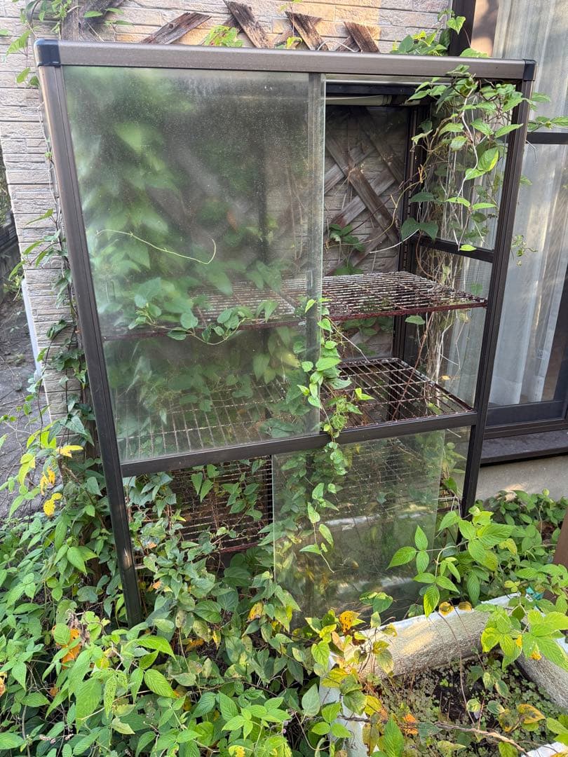 中型ガラス温室(3点セット)