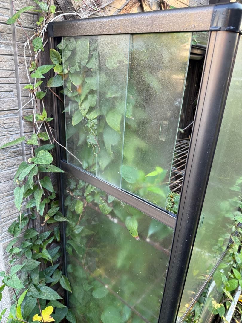 中型ガラス温室(3点セット)