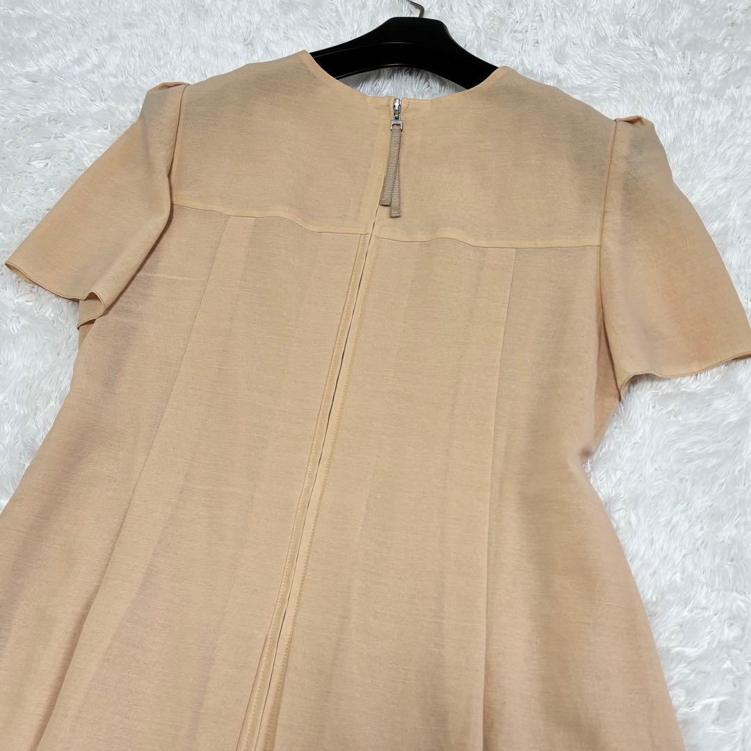 21年　デイジーリン フォクシー Charlston Sleeve 06221